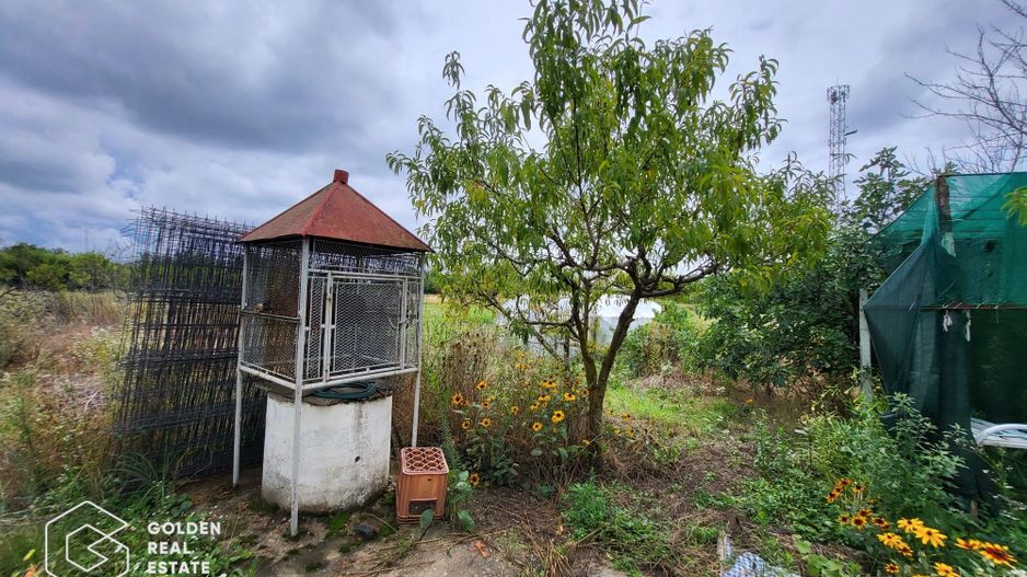 Casa cu D+P+E, 3500 mp teren, zona centrala, Paulis - Poză 20