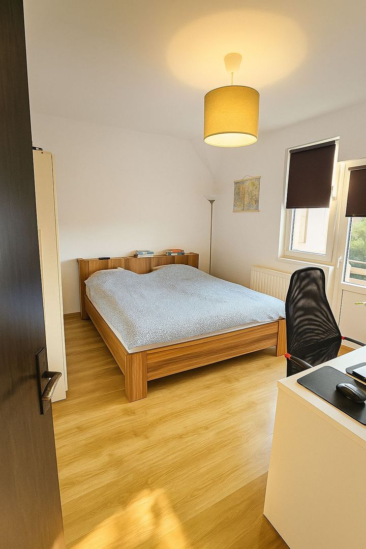 Casă P+1+pod și curte 908 mp – DIRECT PROPRIETAR, Dealul Verde - Poză 7