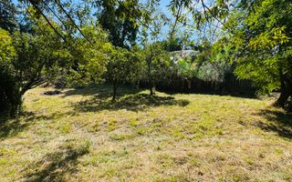 TEREN INTRAVILAN 3234 MP LEREȘTI VOINEȘTI ARGEȘ - Poză 7