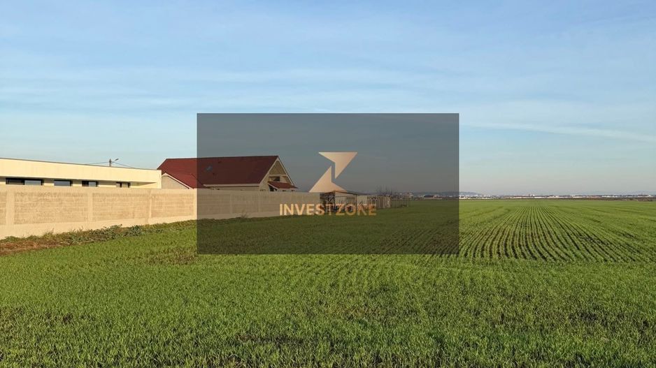 27.200 mp comuna Santandrei - Bihor - Oradea - Poză 4