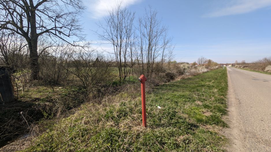 Teren intravilan Balint 22.500 mp - Poză 9