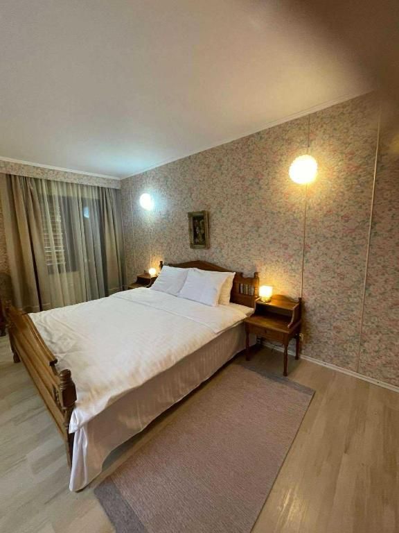 Pet Friendly, Vedere Padure, 5000mp teren, D+P+1E+M, semineu, foisor - Poză 38