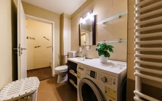 Apartament 2 camere, Piata Balcescu-Timisoara - Poză 29