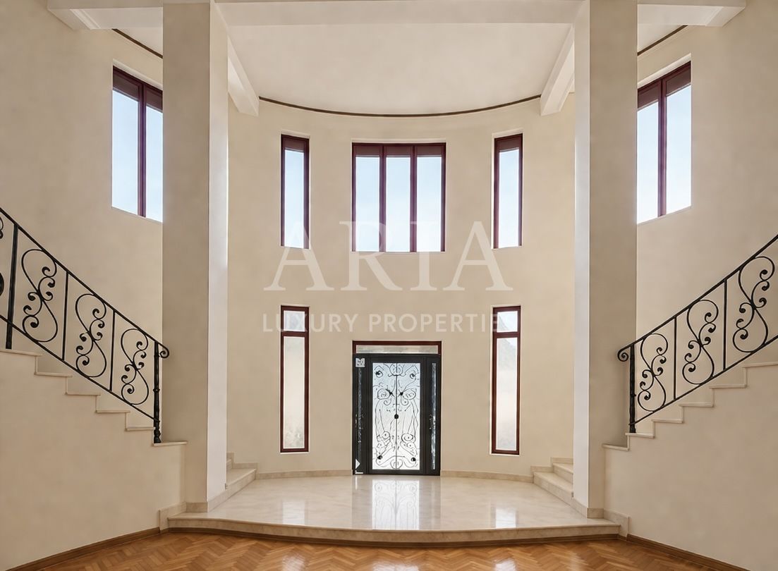 VANZARE VILA | HALA IN VLADICEASCA | SNAGOV | 10.500 MP TEREN - Poză 1