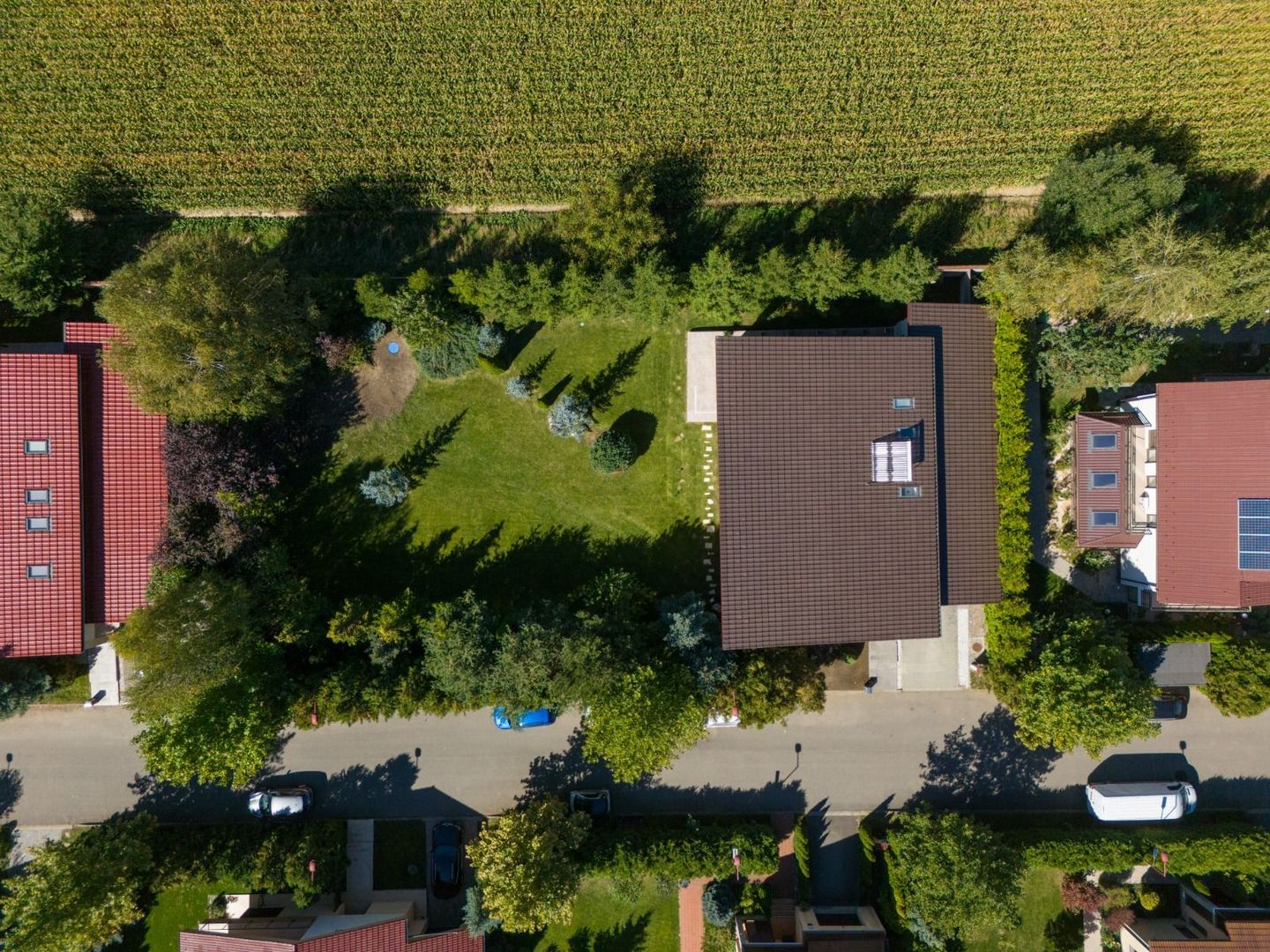 Casă deosebită de vânzare în Sânpetru | Teren 1400 mp - Poză 39