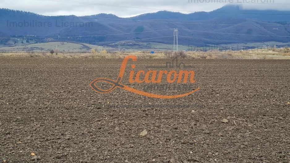 Teren extravilan 2,9 HA,intre Cristian si Vulcan - Poză 2