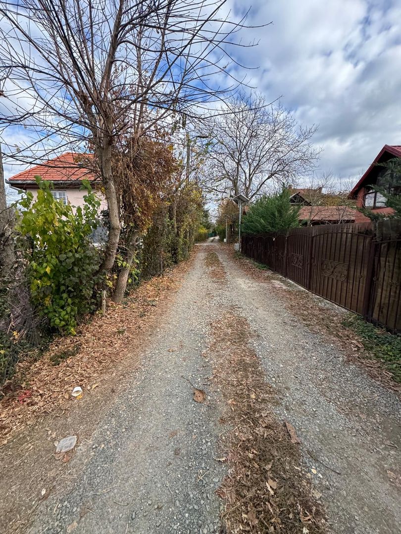 De vanzare Casa vila openspace P+M Relax naturi Mures trei insule Arad - Poză 15