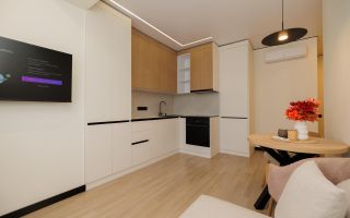Vânzare apartiment- o odaie + living, str. Independenței, Botanica - Poză 3