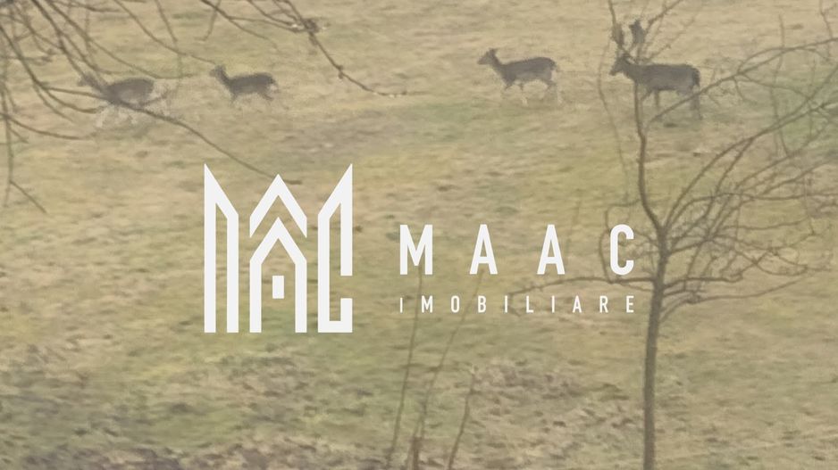 Casa Vantului si 8000 metri patrati in Abrud - Poză 6