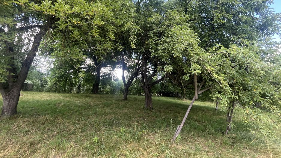 GRADINA BUNICII DE ODINIOARA,DE VANZARE -PAPAUTI,COVASNA. - Poză 11