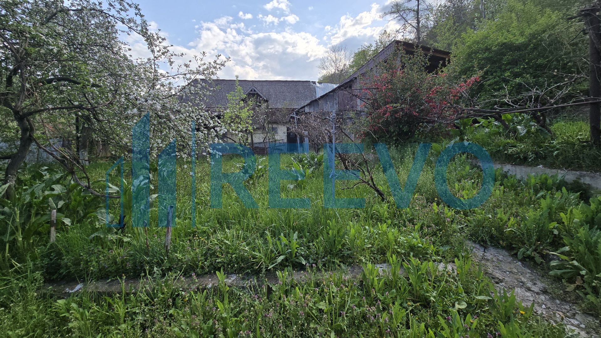 Casă de vânzare, Sat Harja, Oituz - Poză 28