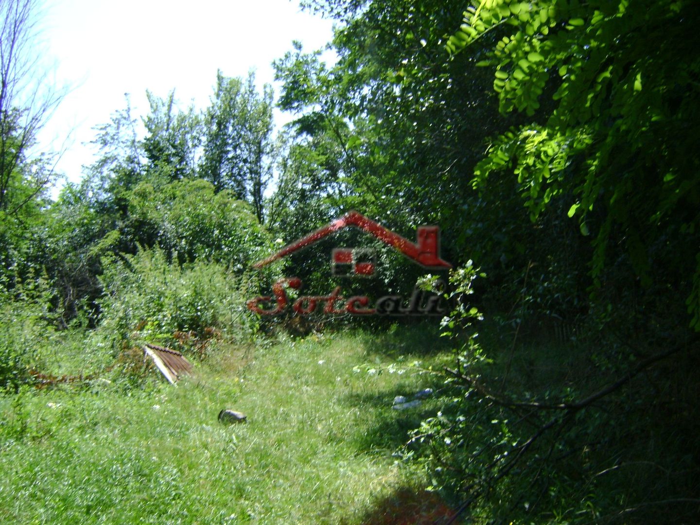 Teren de vanzare in Cornu 1585 mp - Negociabil - Poză 4