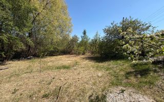 Lot Pomicol Truseni I.P. Alfa-Agro - Poză 7
