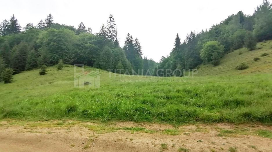 Teren intravilan langa Poiana Brașov, 52 mp front strdal, Utilitati in zona - Poză 9