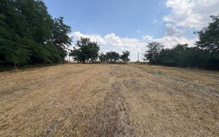 Teren intravilan 2580 mp - Hagiesti - Poză 3