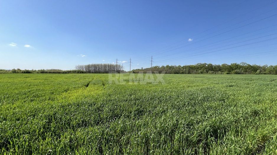 Teren agricol de 24 ari în Ghidighici – aproape de pădure, potrivit pentru investiție sau activitate agricolă - Poză 2