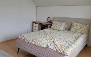 Vila moderna Fedelesoiu | Canalizare | Centrala peleti | Gaz limita proprietate - Poză 14