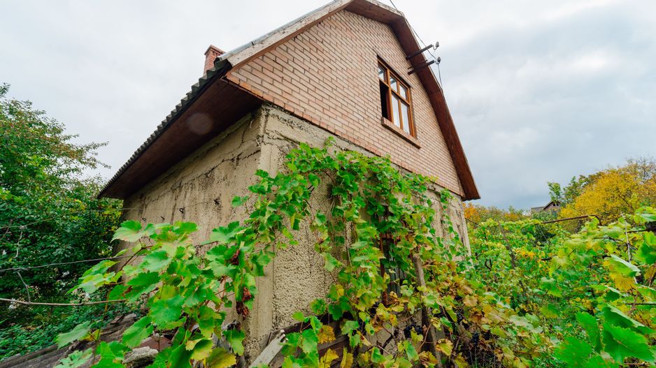 Lot pomicol de 6 ari în Ialoveni, cu construcție auxiliară. - Poză 5