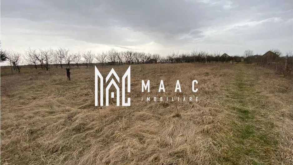 Teren Intravila | 800 mp | Daia Noua - Poză 2