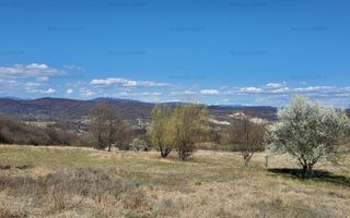 Ocazie ! OCNELE MARI - Sorat, 17,83 Ha. cu pozitie exceptionala - Poză 2