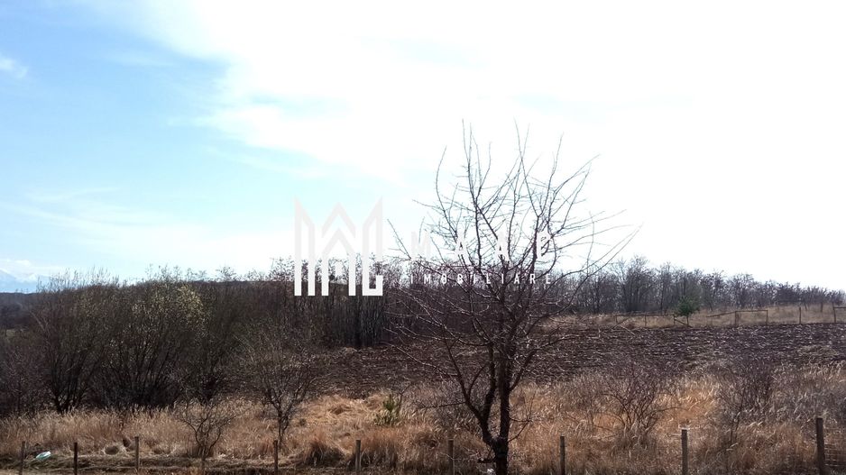 Teren intravilan | 933 mp | Cabana de lemn | Sura Mare - Poză 4