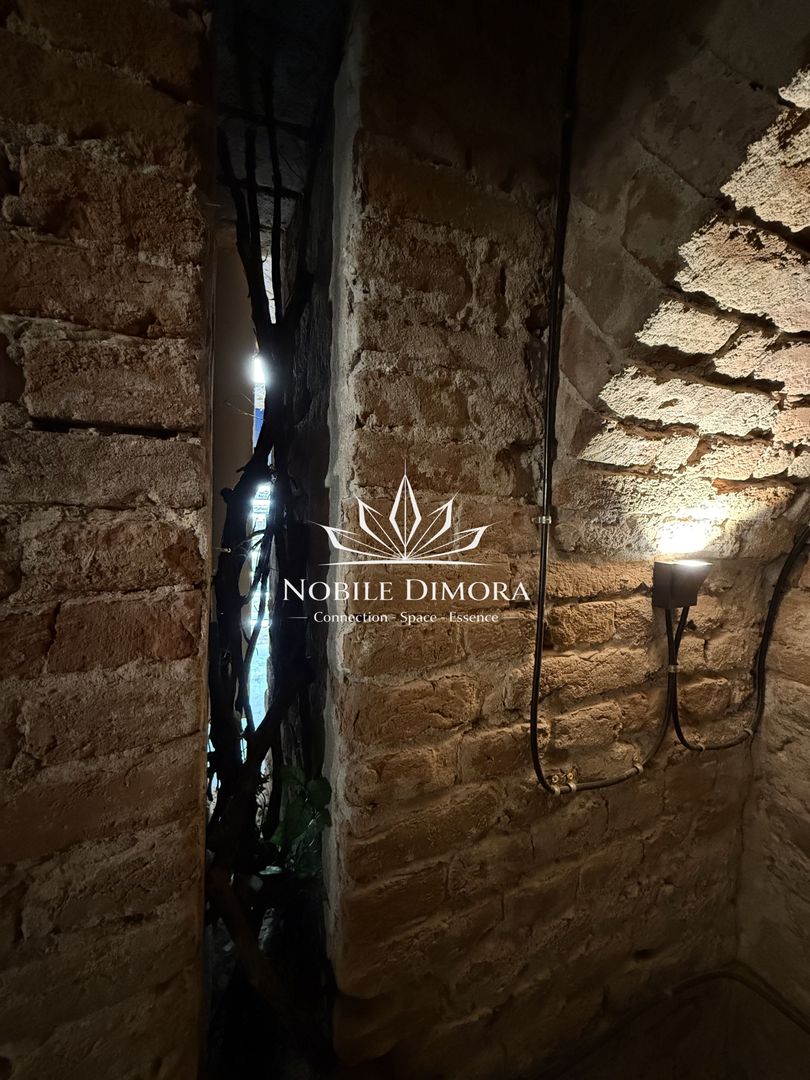 SAD - Spatiu comercial central de 160mp in Arad - ideal: crama, cafenea, magazin - Poză 16