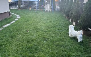 Apartament 3 camere de vânzare în exclusivitate | Cartierul Arhitecților - Poză 13