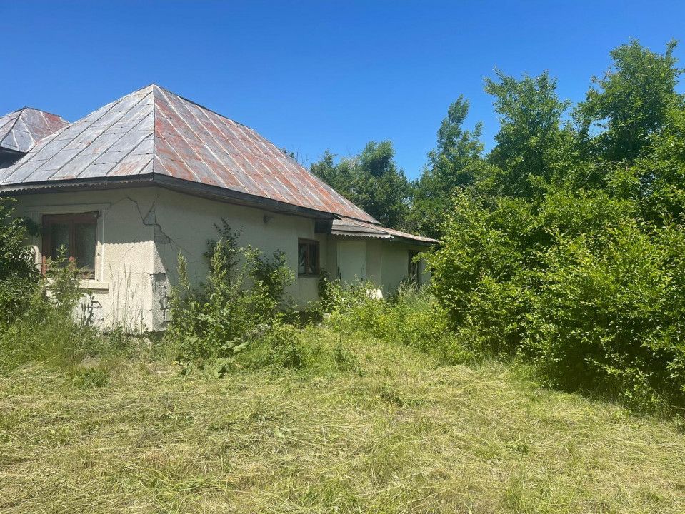 De Vanzare Gospodarie Cerbu - Poză 5