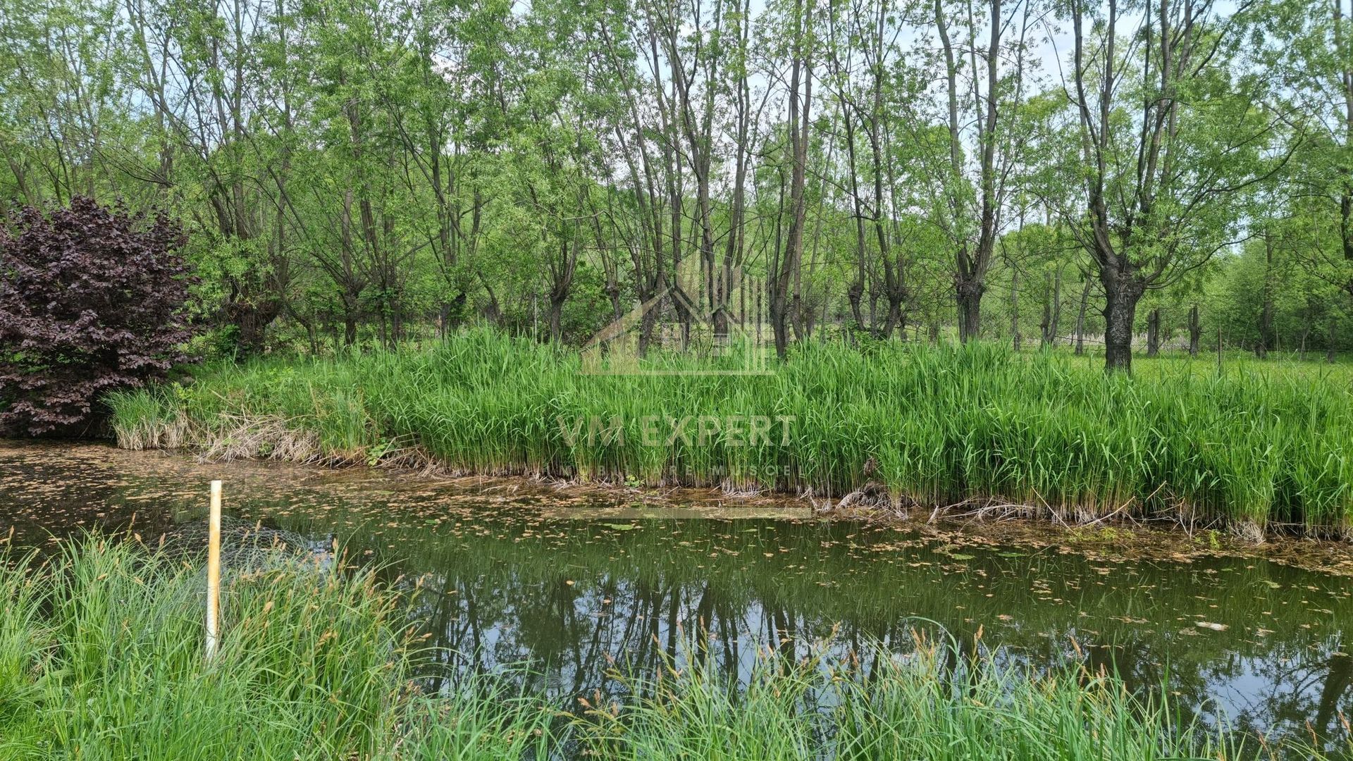 CASA 3 CAMERE, TEREN 6200 MP + 2 LACURI, CAMPULUNG, NAMAIESTI - Poză 37