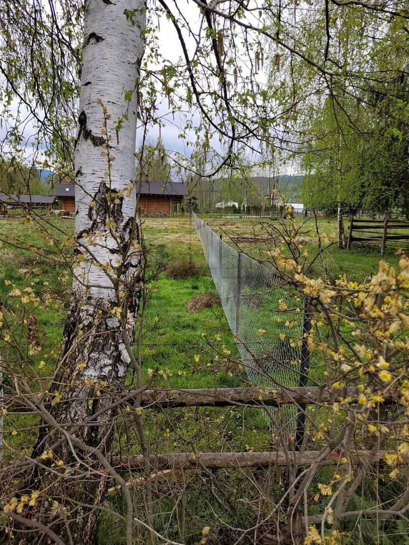 Teren Saru Dornei / Neagra Sarului - oportunitate investitie - Poză 6