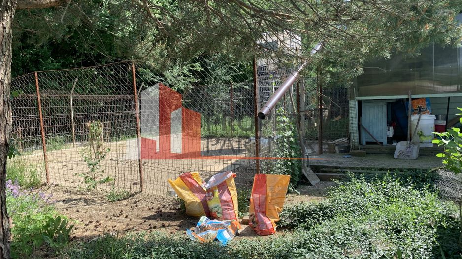 English garden, Sabareni padurea Cereanca - Poză 2