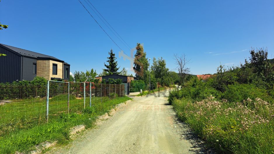 Teren intravilan in Salicea - Poză 2