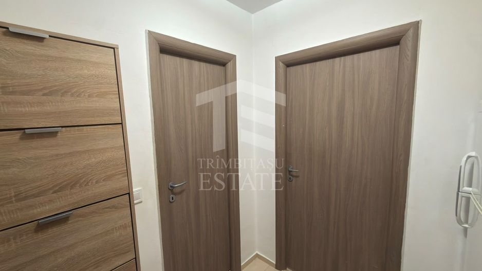 Garsoniera Tei Doamna Ghica Colentina - Poză 9