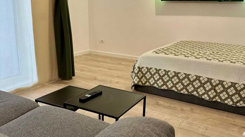 STUDIO BAICULUI, PRIMA INCHIRIERE, LOC PARCARE, CURTE PROPRIE 16 MP - Poză 4