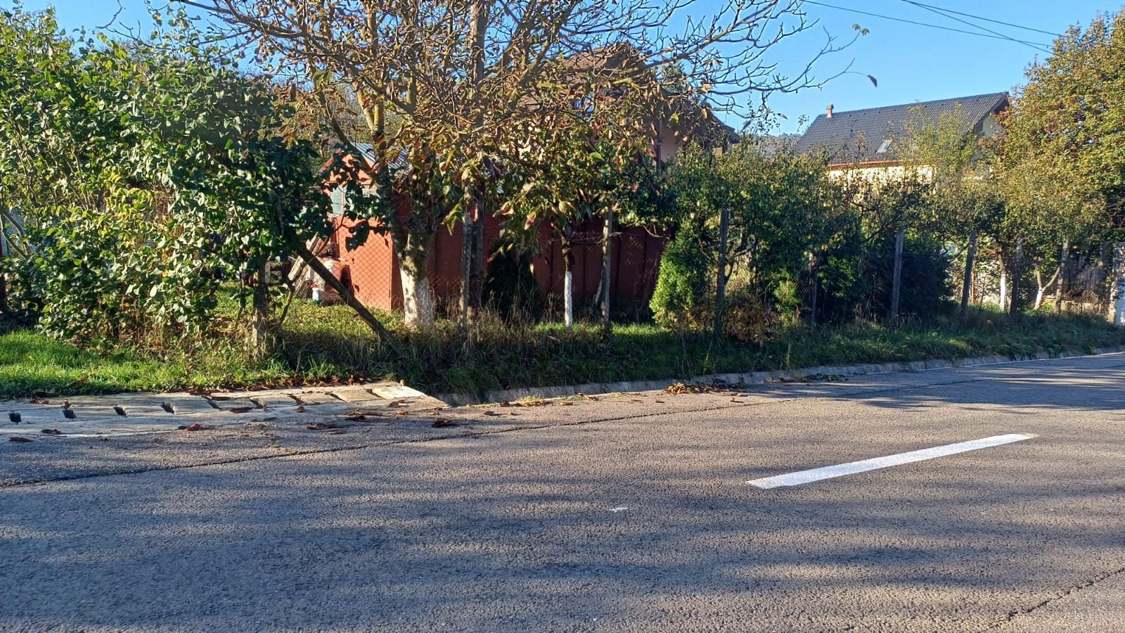 Teren intravilan 3000 mp - Corunca - Poză 1