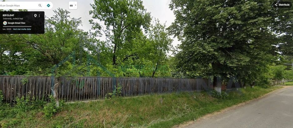 Teren intravilan 3644 mp în Dobrovat, la 300 m de centrul comunei - Poză 2