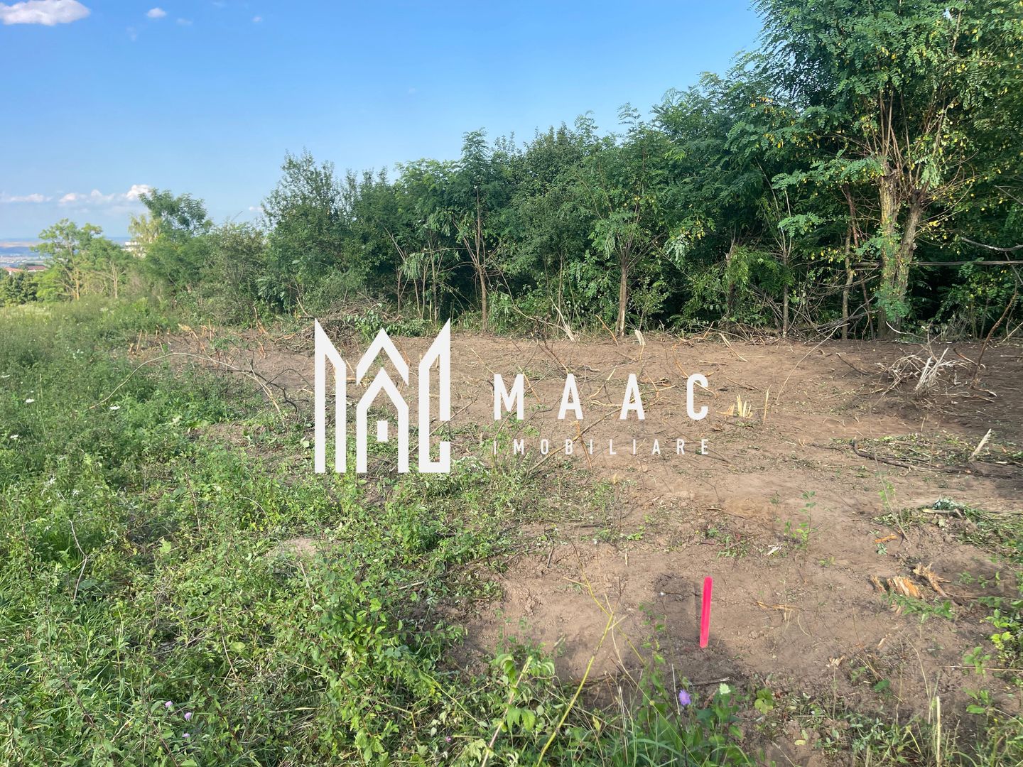 Oportunitate de Investiție Strategică | Teren Intravilan | Colonia Becas - Poză 10