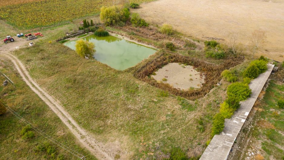 Teren intravilan cu iazuri și casă - Chișineu-Criș - Poză 6