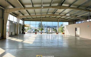 Hala mixta 800 mp de inchiriat – showroom, birouri, depozit – Arad - Poză 3