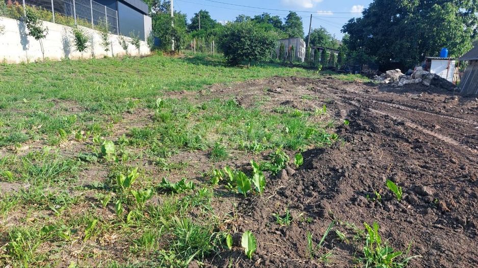 Teren de Construcţie 7,24 Ari com. Sociteni r-nul Ialoveni - Poză 3