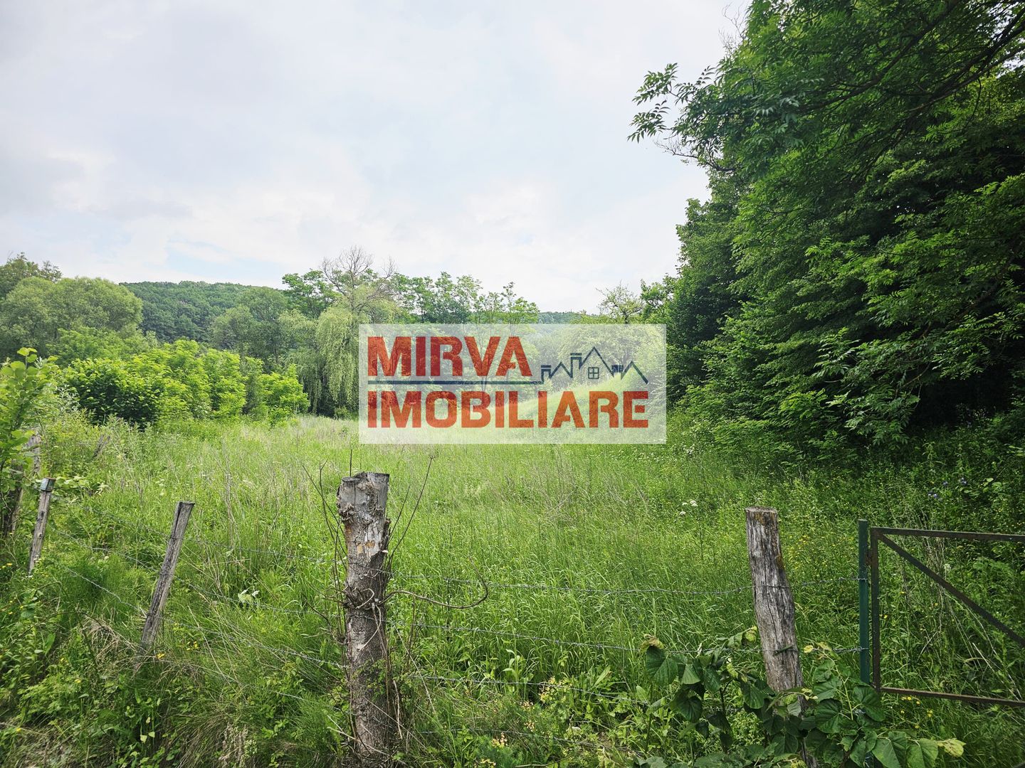 Teren intravilan lângă pădure – 1659 mp,  C.U. P+2E, Vărbilău - Poză 1