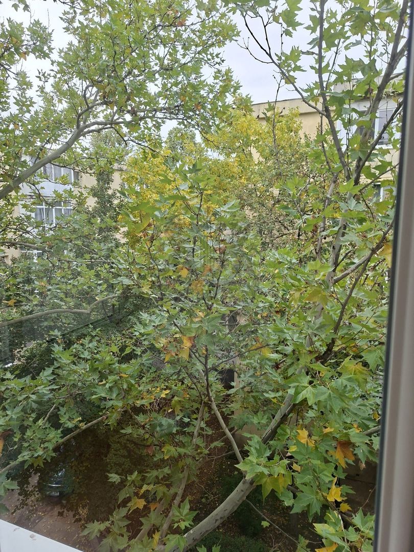 Inchiriere | 2 Camere | Moinesti - Gorjului | Centrala Proprie - Poză 15
