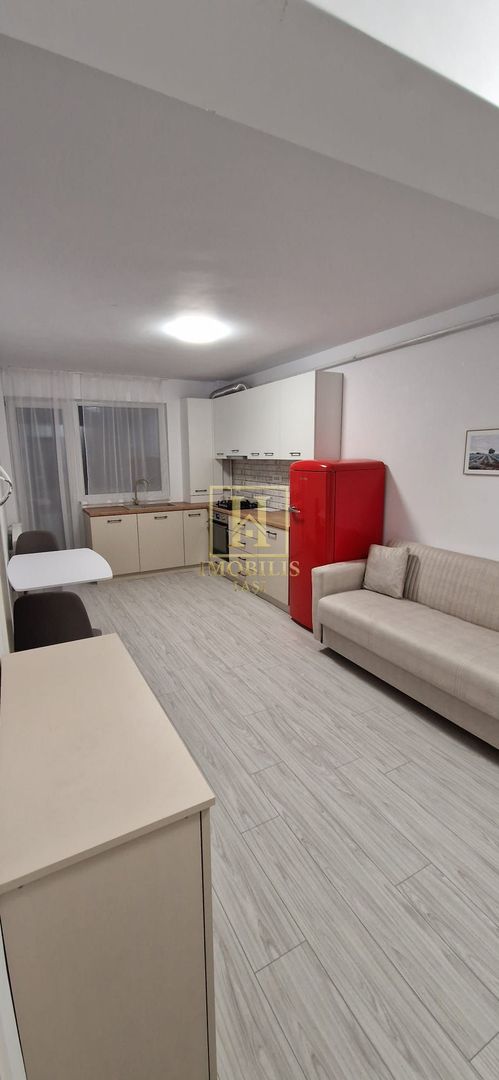 Apartament 2 camere open space 42 mp Bucium 350 euro - Poză 4