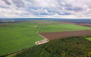 Teren arabil de 30 hectare în Constanța - Poză 2