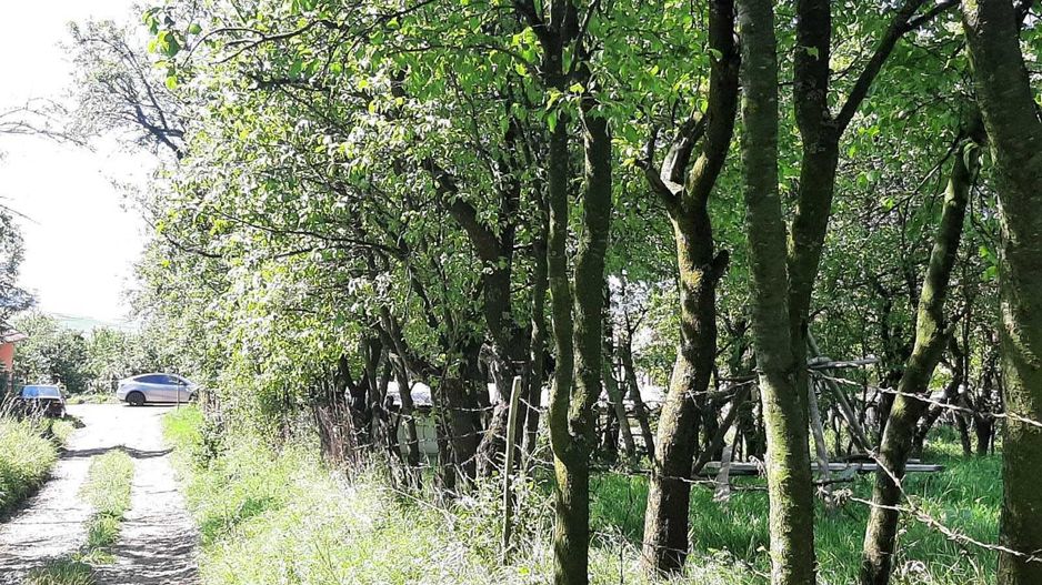 Casă si teren de vanzare in Rediu - Poză 4