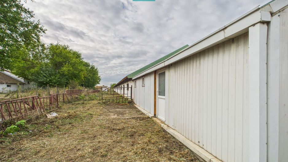 Hală pentru producție / fermă zootehnică  - Variaș - Poză 16