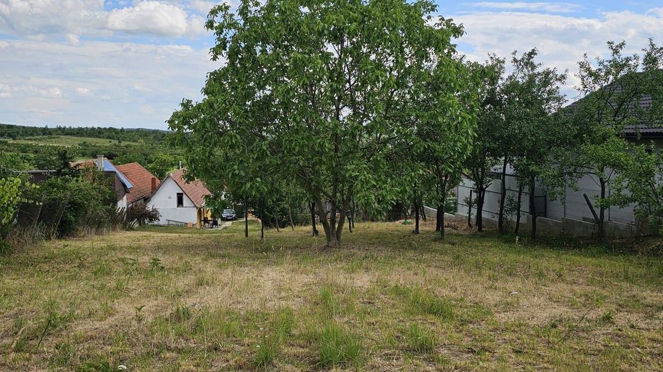 Teren construibil Saldabagiu de Munte 780 mp - Poză 1