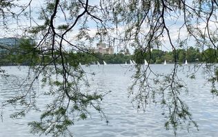 Nordului Herastrau 4 camere grădină proprie la 150m de parc