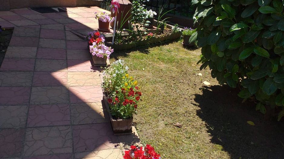 casa Eoiscopia Bihor - Poză 11