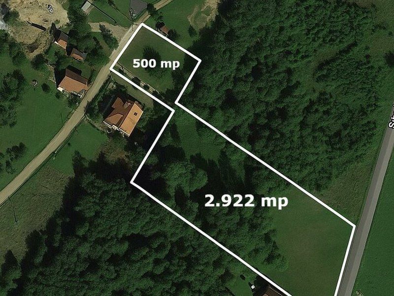 Teren 3349 mp de Vânzare | Bran – Panoramă Munții Bucegi - Poză 1